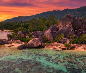 Seszele, Palmy, Anse Source dArgent, Zachód słońca, Skały, Plaża, Wyspa, La Digue, Morze