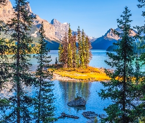Drzewa, Wyspa Spirit Island, Park Narodowy Jasper, Alberta, Jezioro Maligne Lake, Kanada, Góry
