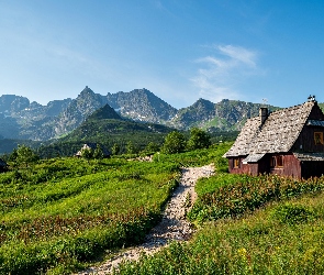 Hala Gąsienicowa, Zakopane, Drewniane, Polska, Domki, Tatry, Królowe Rówienki, Droga, Góry