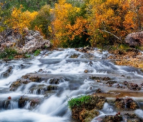 Arizona, Rzeka, Stany Zjednoczone, Fossil Creek, Drzewa, Strawberry, Skały, Jesień