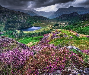 Cumbria, Jezioro, Anglia, Góry, Chmury, Park Narodowy Lake District, Skały, Wrzosowisko