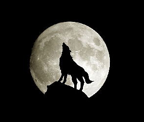 Wilk, Księżyc