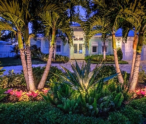 Kaktusy, Palmy, Floryda, Kwiaty, Dom, Stany Zjednoczone, Palm Beach Garden