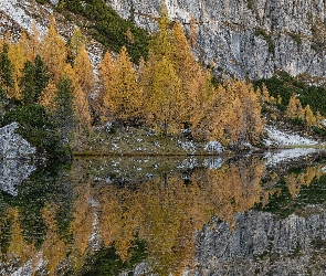 Góry, Odbicie, Drzewa, Włochy, Modrzewie, Lago Federa, Dolomity, Skały, Jezioro