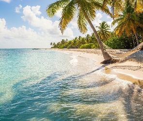 Chmury, Hamak, Palmy, Plaża, Morze