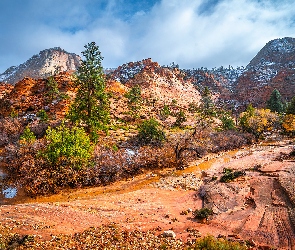 Góry, Stany Zjednoczone, Utah, Skały, Park Narodowy Zion