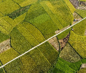Pola, Wietnam, Dolina Bac Son, Ryżowe, Z lotu ptaka