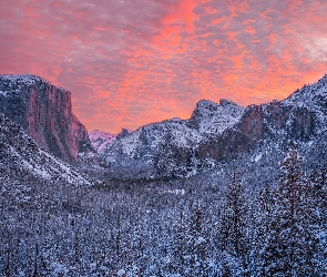 Kalifornia, Drzewa, Stany Zjednoczone, Zima, Góra, Park Narodowy Yosemite, El Capitan, Ośnieżone