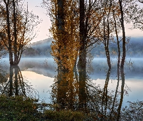 Odbicie, Drzewa, Jezioro, Góry, Mgła, Jesień