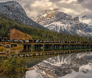 Kanada, Drzewa, Emerald Lake, Odbicie, Most, Jezioro, Kolumbia Brytyjska, Park Narodowy Yoho, Góry