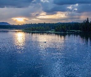 Chmury, Zachód słońca, Las, Jezioro, Drzewa, Pelikany
