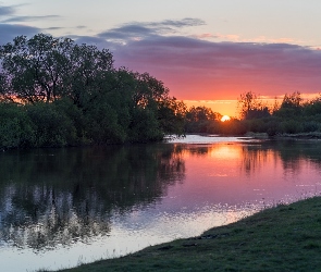 Krzewy, Rzeka, Drzewa, Zachód słońca