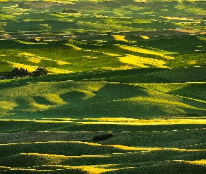 Stan Waszyngton, Region Palouse, Łąki, Stany Zjednoczone, Steptoe Butte State Park, Wzgórza, Pola