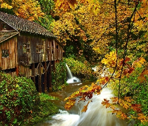 Jesień, Stan Waszyngton, Las, Stany Zjednoczone, Woodland, Drzewa, Młyn, Cedar Creek Grist Mill, Rzeka