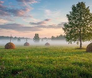 Mgła, Siano, Snopki, Poranek, Łąka