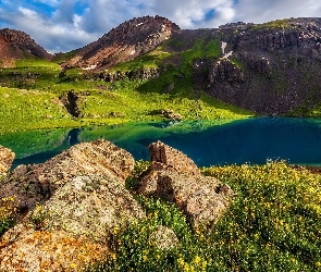 Kolorado, San Juan, Kwiaty, Stany Zjednoczone, Lake Basin, Góry, Jezioro
