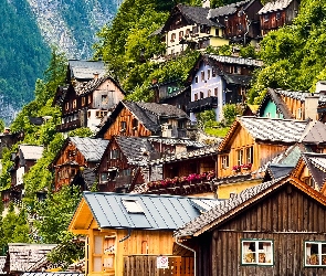 Hallstatt, Drzewa, Góry, Domy, Austria