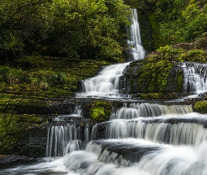 Drzewa, Skały, McLean Falls, Nowa Zelandia, Tautuku River, Wodospad, Rzeka