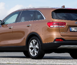 Kia Sorento, Eco Dynamics