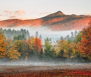 Góra, Mount Chocorua, Mgła, Góry, Jesień, Stany Zjednoczone, Kolorowe, Stan New Hampshire, White Mountains, Drzewa, Lasy
