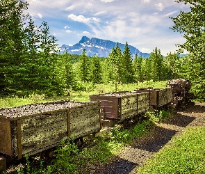 Mount Rundle, Góra, Alberta, Park Narodowy Banff, Drzewa, Kanada, Lasy