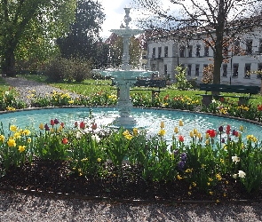 Tulipany, Kwiaty, Fontanna, Ławki