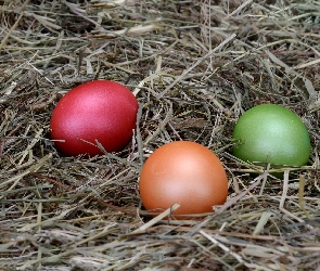 Siano, Pisanki, Wielkanoc, Kolorowe