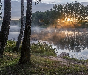 Pomost, Brzozy, Rzeka, Trawa, Drzewa, Wschód słońca, Mgła