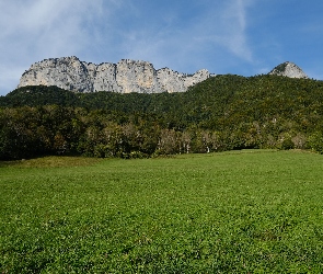 Łąka, Las, Góry, Drzewa