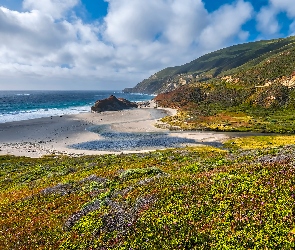 Góry, Wybrzeże, Morze, Plaża, Kalifornia, Kwiaty, Stany Zjednoczone, Big Sur