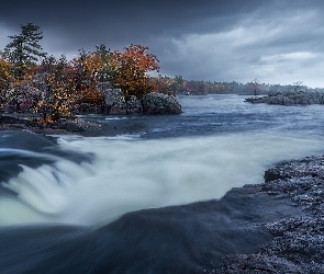 Torrent River, Nowa Zelandia, Drzewa, Skały, Rzeka