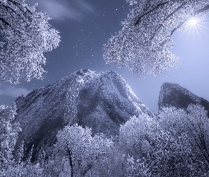 Ośnieżone, Sierra Nevada, Zima, Góry, Kalifornia, Drzewa, Stany Zjednoczone, Park Narodowy Yosemite