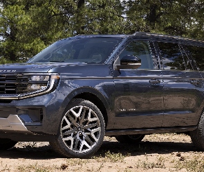 Ford Expedition, Platinum