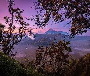 Drzewa, Wulkany, Indonezja, Jawa