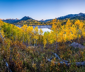 Kolorado, Góry, Stany Zjednoczone, Owl Creek Pass, Drzewo, Silver Jack Reservoir, Jesień, Las