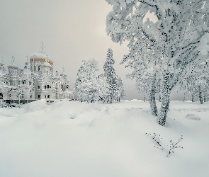 Cerkiew, Drzewa, Zima, Śnieg