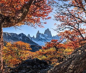 Patagonia, Fitz Roy, Argentyna, Góry, Jesień, Park Narodowy Los Glaciares, Promienie słońca, Drzewa