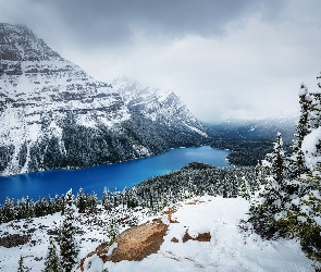Jezioro, Lake Peyto, Park Narodowy Banff, Lasy, Chmury, Kanada, Zima, Prowincja Alberta, Drzewa, Góry, Ośnieżone
