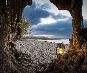 Morze, Kamienie, Korzenie, Chmury, Plaża, Drzewo, Lampa