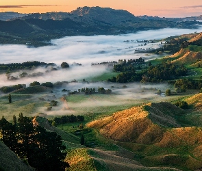 Góry, Mgła, Opadająca, Wzgórza, Poranek