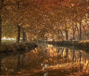 Park, Drzewa, Jesień, Rzeka