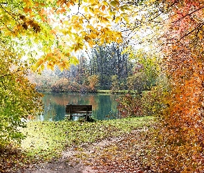 Drzewa, Staw, Ławka, Park, Jesień, Liście