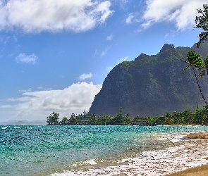 Hawaje, Góra, Stany Zjednoczone, Morze, Plaża, Wyspa Oahu, Palmy, Skała