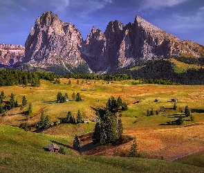 Góry, Val Gardena, Włochy, Dolomity, Sassolungo, Domy, Chmury, Drewniane, Płaskowyż, Seiser Alm, Drzewa, Dolina