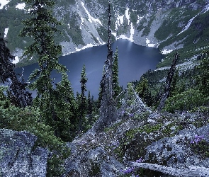 Skały, Drzewa, Park Narodowy Północnych Gór Kaskadowych, Rainy Lake, Stan Waszyngton, Jezioro, Stany Zjednoczone, Góry Kaskadowe