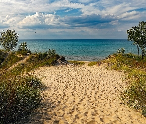Stany Zjednoczone, Drzewa, Plaża, Jezioro Michigan, Piasek, Trawa