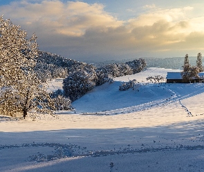 Góry, Ścieżka, Śnieg, Wzgórze, Drzewa, Zima, Dom