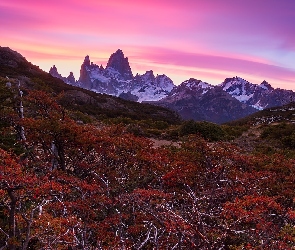 Góry, Patagonia, Czerwone, Argentyna, Krzewy, Jesień, Góra Fitz Roy, Kolorowe, Niebo