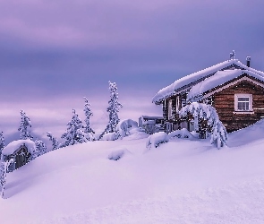 Norwegia, Valdres, Ośnieżone, Zima, Drzewa, Dom