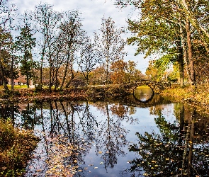 Odbicie, Park, Most, Jesień, Liście, Staw, Drzewa